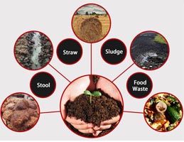 chicken manure fertilizer raw materials.jpg