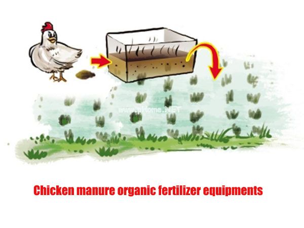 How to produce chicken manure organic fertilizer through chicken manure production line?