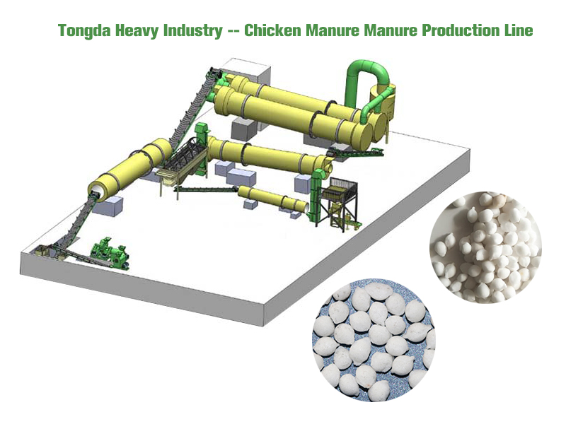 Can chicken manure be used as Manure if it is not decomposed?