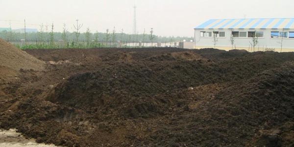 cow dung organic fertilizer fermentation.jpg